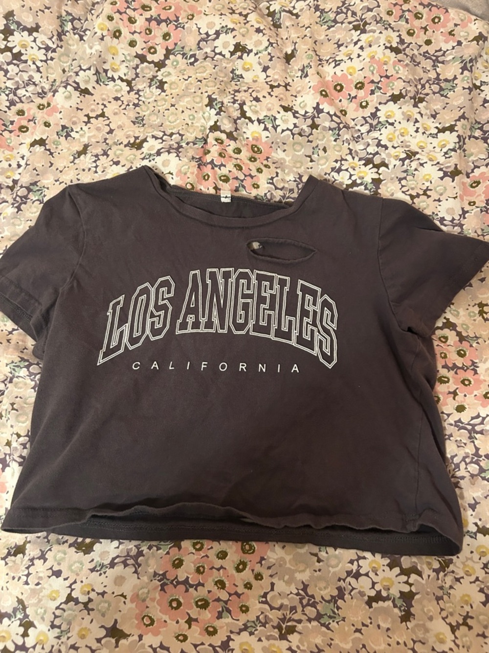 PacSun Los Angeles California Cropped Graphic Tee - GRAY